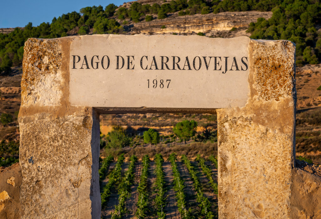 El próximo miércoles 12 de febrero de 2025 a las 20h. en Vino & Compañía, te invitamos a una Cata Histórica de Pago de Carraovejas. Esta exclusiva vertical de 9 añadas será una ocasión única para descubrir la evolución y riqueza de este vino ícono en su zona!!! 🍇🍷