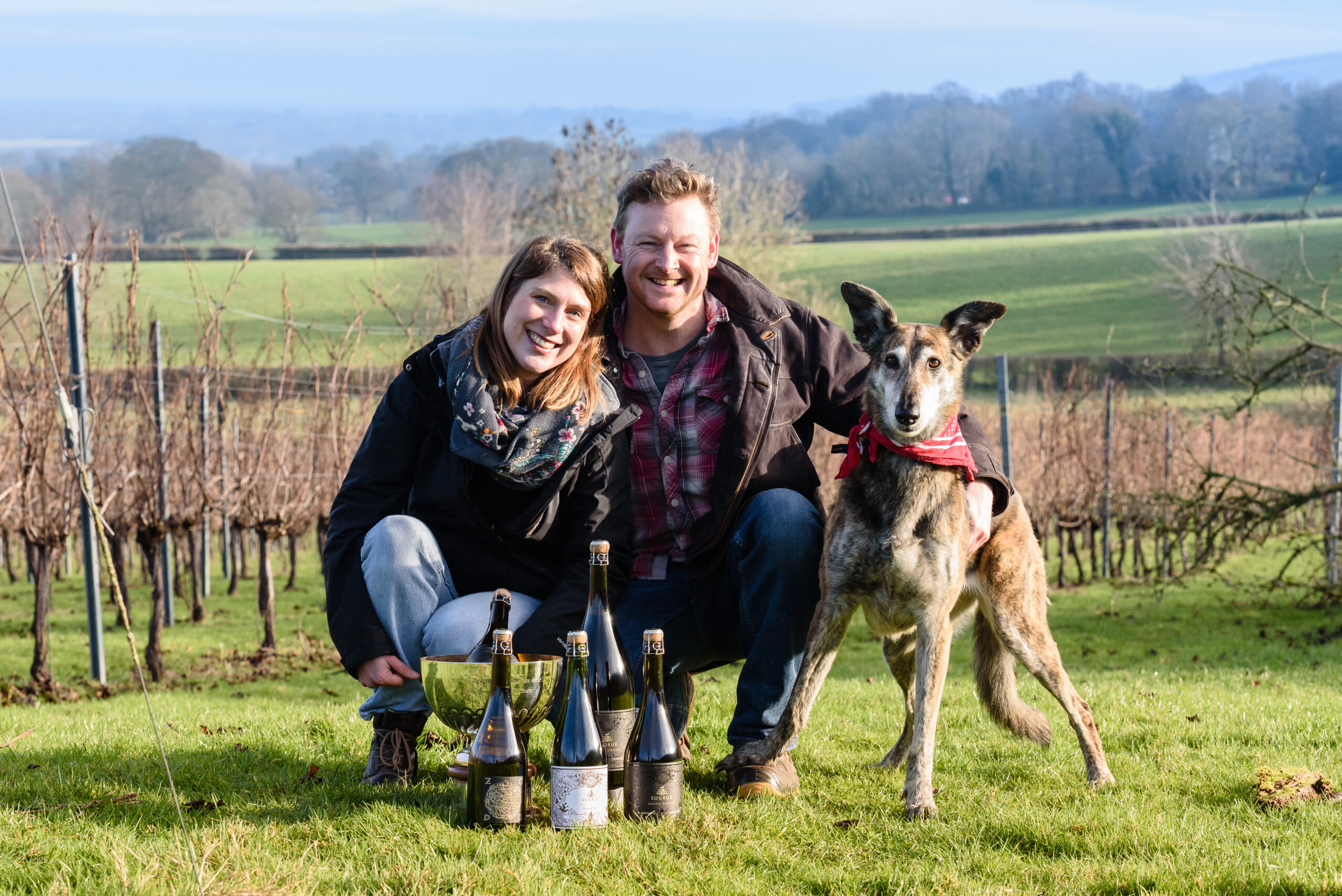 Cata con Dermot Sugrue – Espumosos de talla mundial desde el sur de Inglaterra 🥂