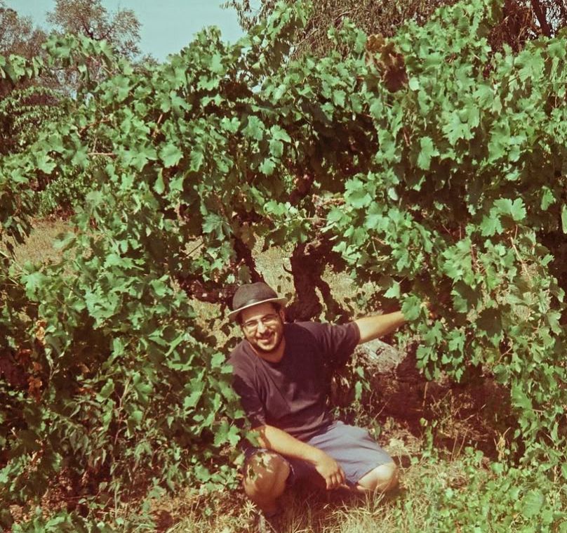 🍇 VINO & COMPAÑÍA PRESENTA: "GRECIA — EL ORIGEN DEL VINO" Una cata con Bernat Voraviu, sumiller de Alkimia (⭐️ Michelin), para redescubrir el alma vinícola del Mediterráneo.