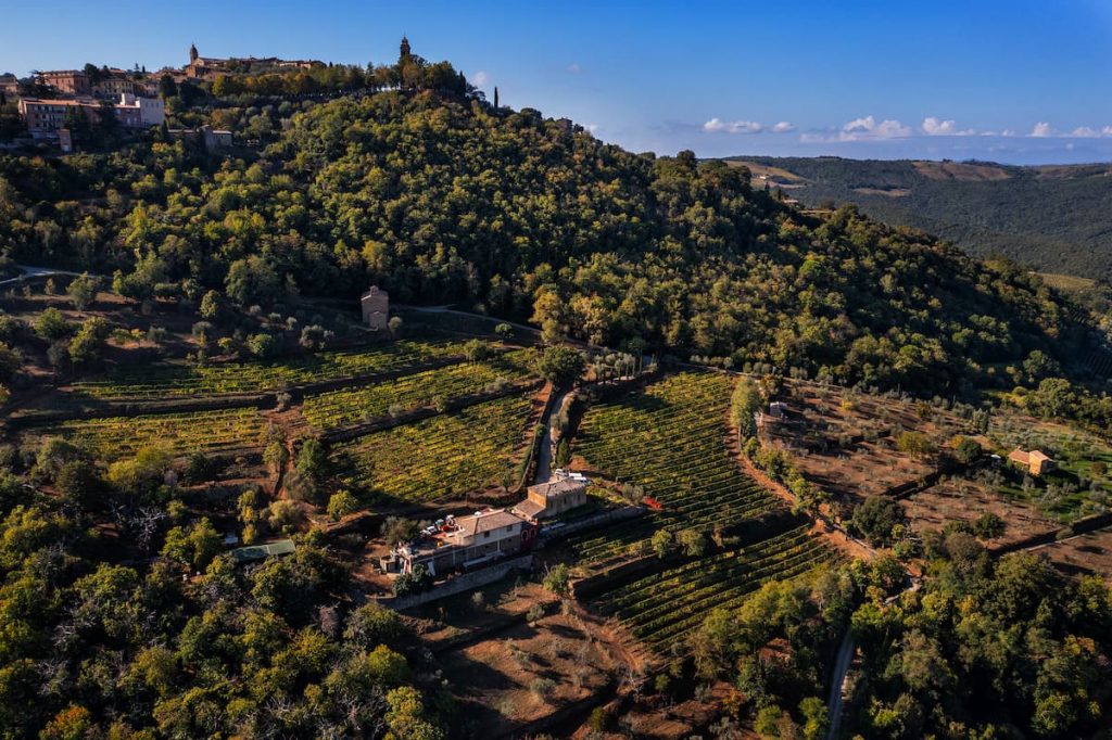Il Marroneto: La Esencia del Brunello di Montalcino