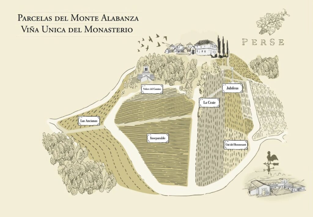 Perse nace de selecciones parcelarias minúsculas en el monte Alabanza —la última estribación sur de las lomas de Gualtallary— donde se han detectado viñedos especiales capaces de ofrecer gran fineza en la expresión de sus vinos. Estas uvas dan origen a cuvées como Perse Iubileus, La Craie y Uni del Bonnesant, vinos nacidos de lotes pequeños que buscan transmitir con precisión suelo, clima y planta.
