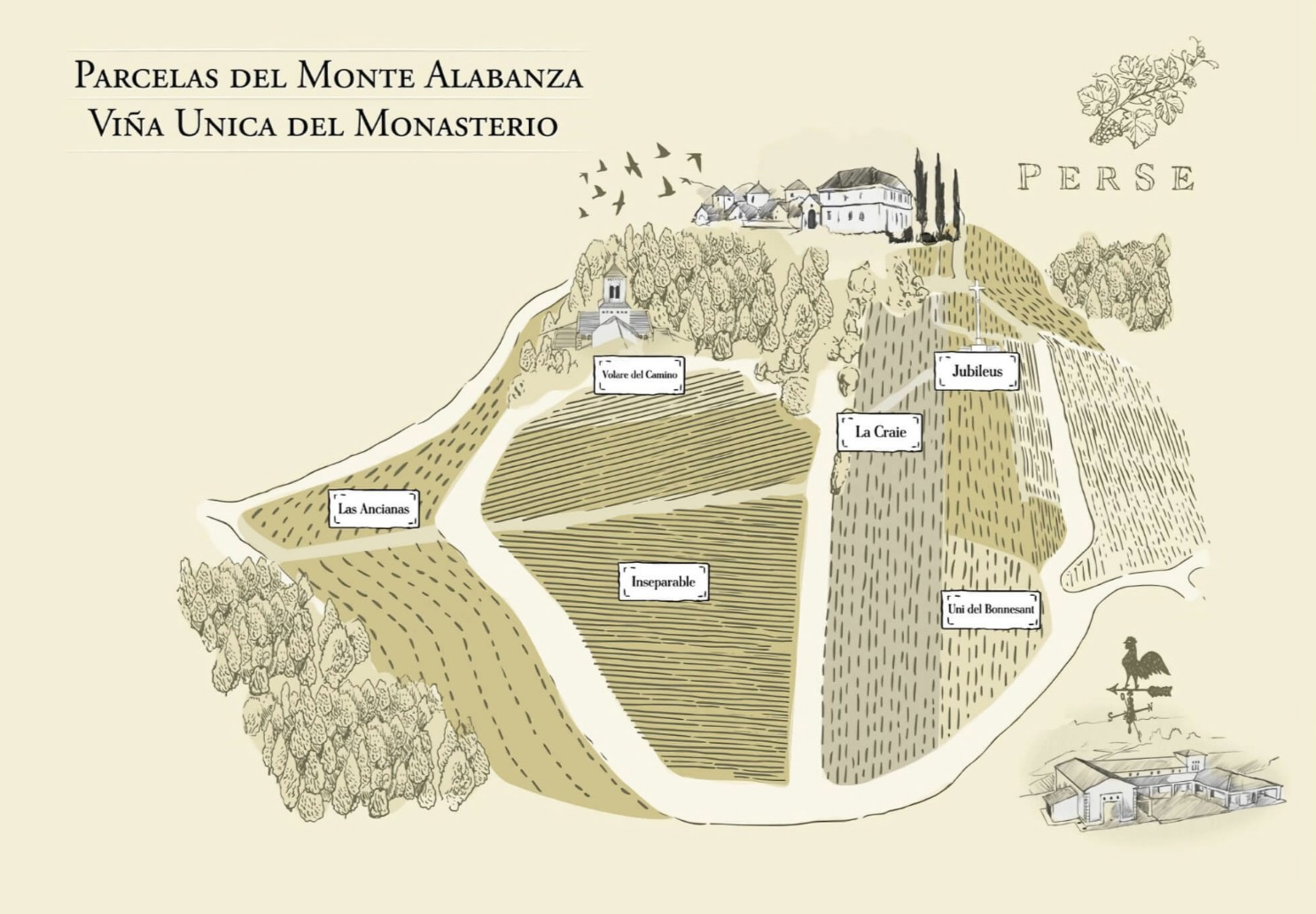 Perse nace de selecciones parcelarias minúsculas en el monte Alabanza —la última estribación sur de las lomas de Gualtallary— donde se han detectado viñedos especiales capaces de ofrecer gran fineza en la expresión de sus vinos. Estas uvas dan origen a cuvées como Perse Iubileus, La Craie y Uni del Bonnesant, vinos nacidos de lotes pequeños que buscan transmitir con precisión suelo, clima y planta.