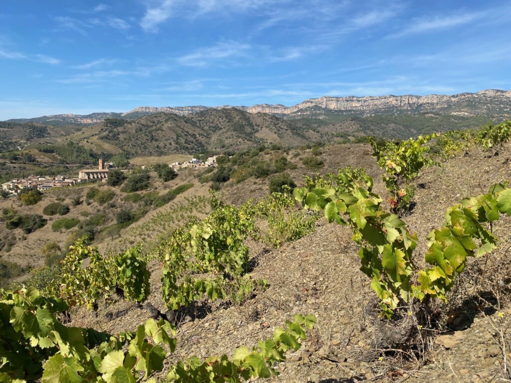 Ubicada en Poboleda, dentro de la DOQ Priorat, Mas Doix es una bodega familiar fundada en 1998 por las familias Doix y Llagostera, con raíces vitícolas que se remontan a mediados del siglo XIX. Su filosofía se basa en el respeto al paisaje, la recuperación de viñas centenarias de cariñena y garnacha, y una viticultura ecológica con mínima intervención. En Mas Doix se elaboran vinos elegantes, de mineralidad pura, que reflejan la pizarra (licorella) del Priorat, la baja producción y la altitud; su terroir habla de fuerzas ancestrales.