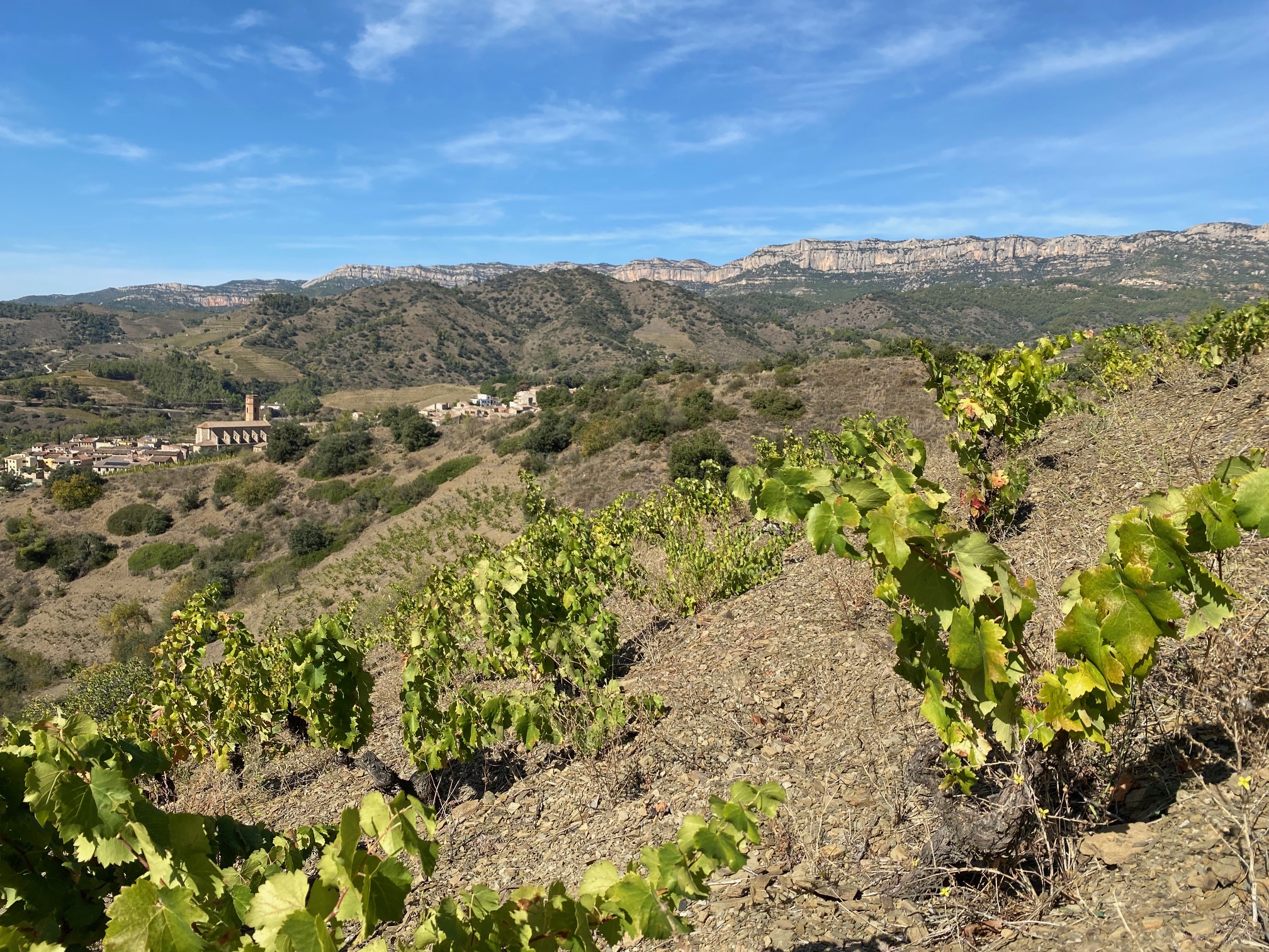 Ubicada en Poboleda, dentro de la DOQ Priorat, Mas Doix es una bodega familiar fundada en 1998 por las familias Doix y Llagostera, con raíces vitícolas que se remontan a mediados del siglo XIX. Su filosofía se basa en el respeto al paisaje, la recuperación de viñas centenarias de cariñena y garnacha, y una viticultura ecológica con mínima intervención. En Mas Doix se elaboran vinos elegantes, de mineralidad pura, que reflejan la pizarra (licorella) del Priorat, la baja producción y la altitud; su terroir habla de fuerzas ancestrales.
