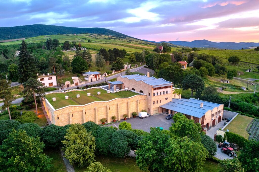 Tokaj es una de las grandes regiones históricas del vino europeo, reconocida por la UNESCO en 2002 por sus extraordinarias condiciones vitivinícolas, y Oremus ocupa un lugar central en ese paisaje desde que la familia Álvarez fundó Tokaj-Oremus en 1993. La bodega se levanta en Tolcsva, junto a unas cuevas subterráneas de siglos de historia, en el corazón de una región que Louis XIV definió como “el vino de los reyes y el rey de los vinos”.