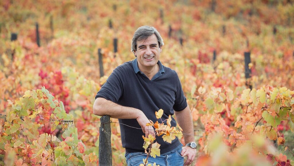 🍷 Cata con personaje: LUIS SEABRA EN VINO & COMPAÑÍA