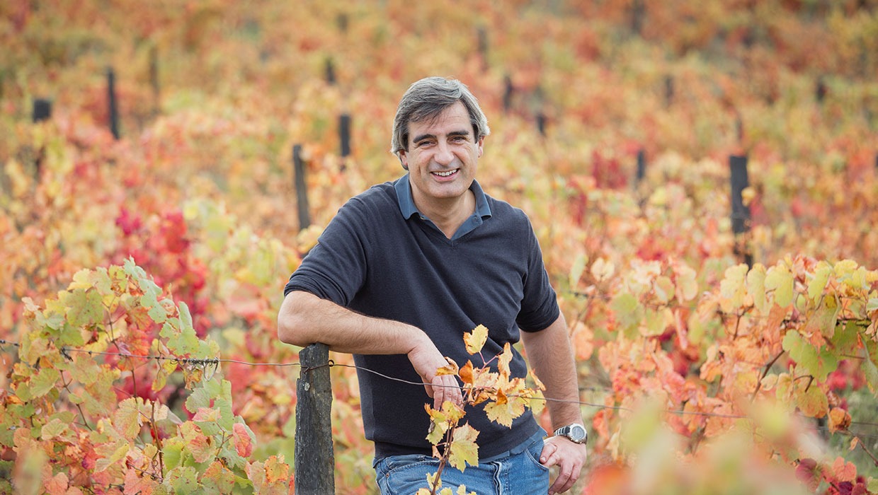 🍷 Cata con personaje: LUIS SEABRA EN VINO & COMPAÑÍA