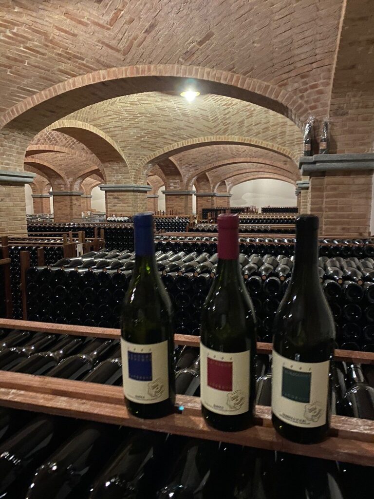 LUCIANO SANDRONE EN VINO & COMPAÑÍA 🍷