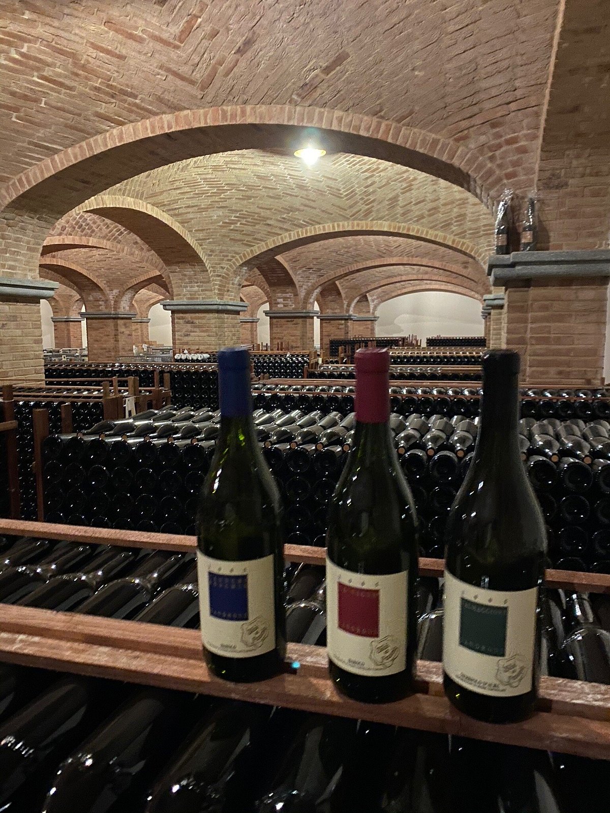 LUCIANO SANDRONE EN VINO & COMPAÑÍA 🍷