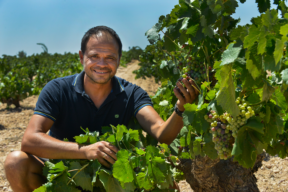 🍇 JUAN ANTONIO PONCE EN VINO & COMPAÑÍA